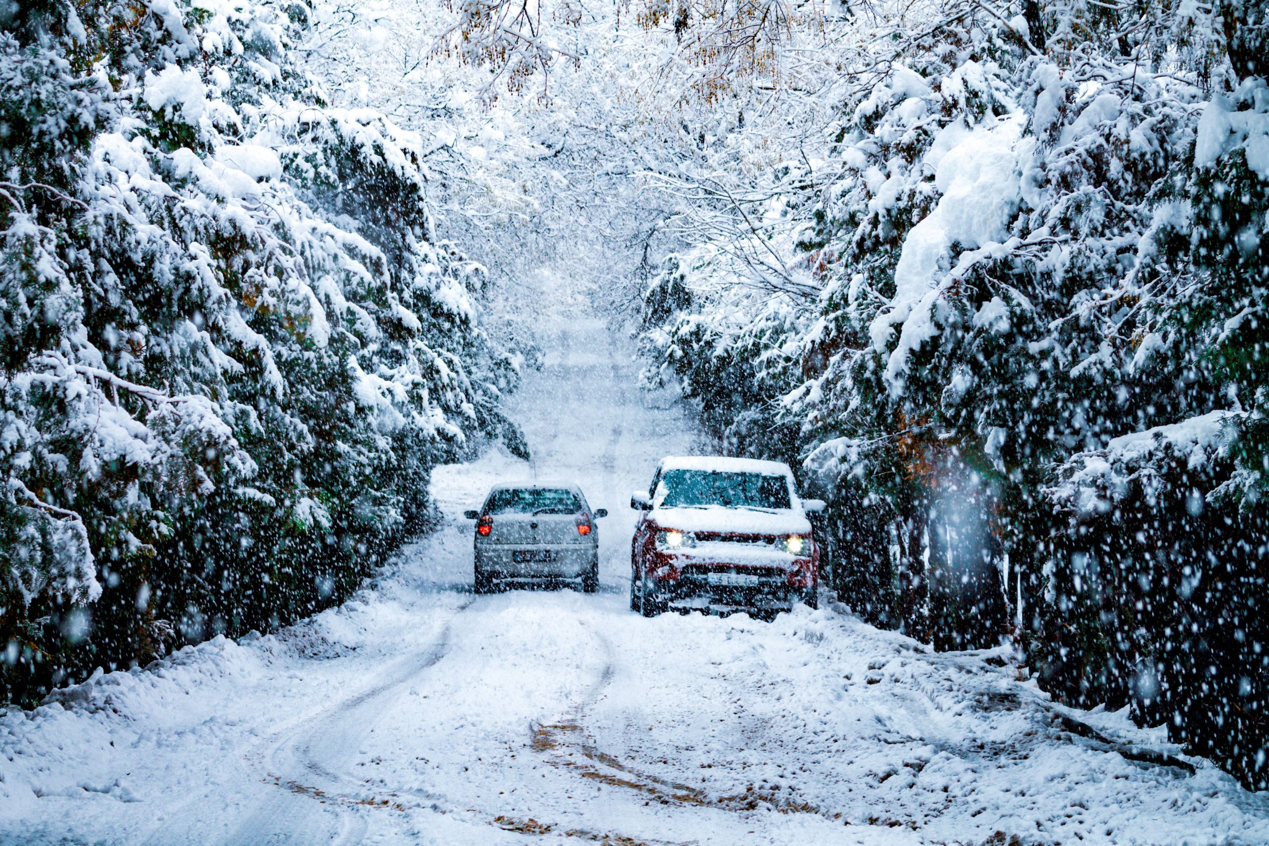 Deux voitures circulant sur une route foresti&egrave;re couverte de neige en hiver